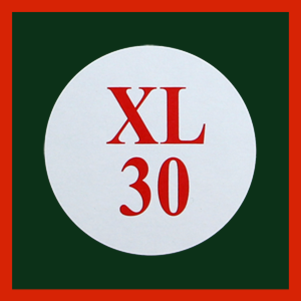 Castrol Classic XL 30 Motoröl